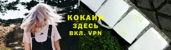 мяу мяу мука Белокуриха