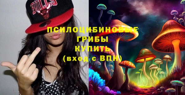 мяу мяу мука Белокуриха