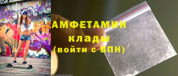 ГАЛЛЮЦИНОГЕННЫЕ ГРИБЫ Козловка